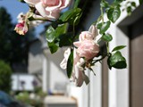 05 Homepage